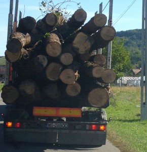 photo (6)