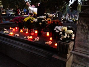 image_1