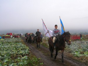 Fotó: Sármási-Bocskai János/Gazdaélet