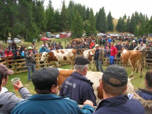 Fotó: Sármási-Bocskai János/Gazdaélet