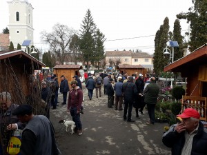 Fotó: Sármási-Bocskai János/Gazdaélet