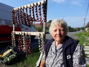 Fotó: Sármási-Bocskai János/Gazdaélet